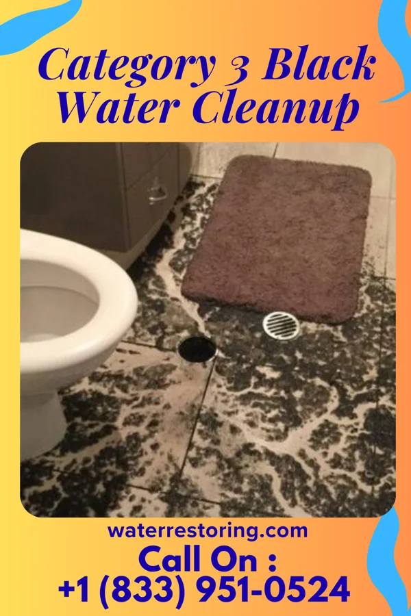 Category 3 Black Water Cleanup in Woodford, SC