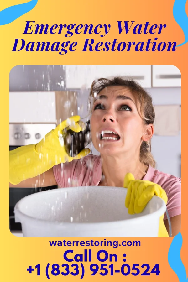 Emergency Water Damage Restoration in Woodford, SC