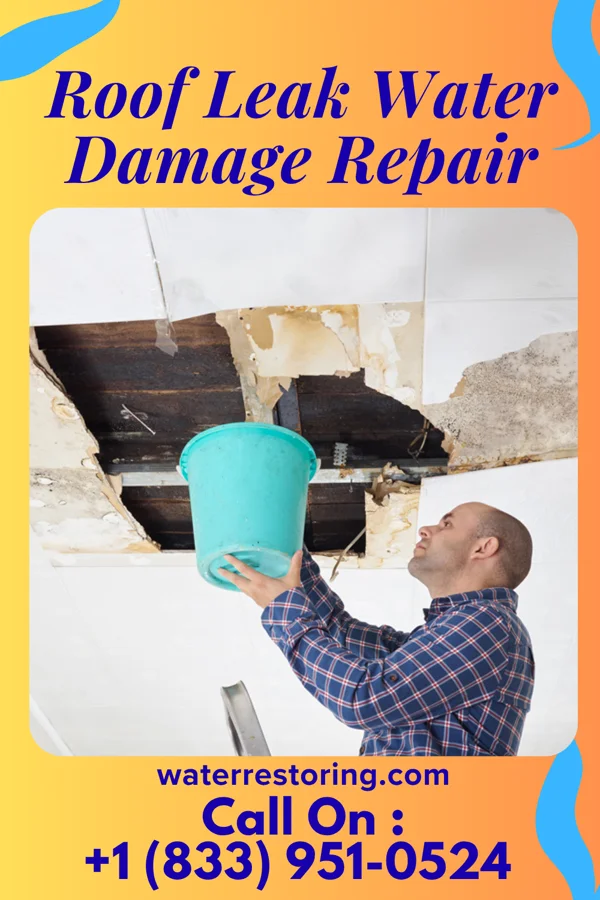 Roof Leak Water Damage Repair in Woodford, SC